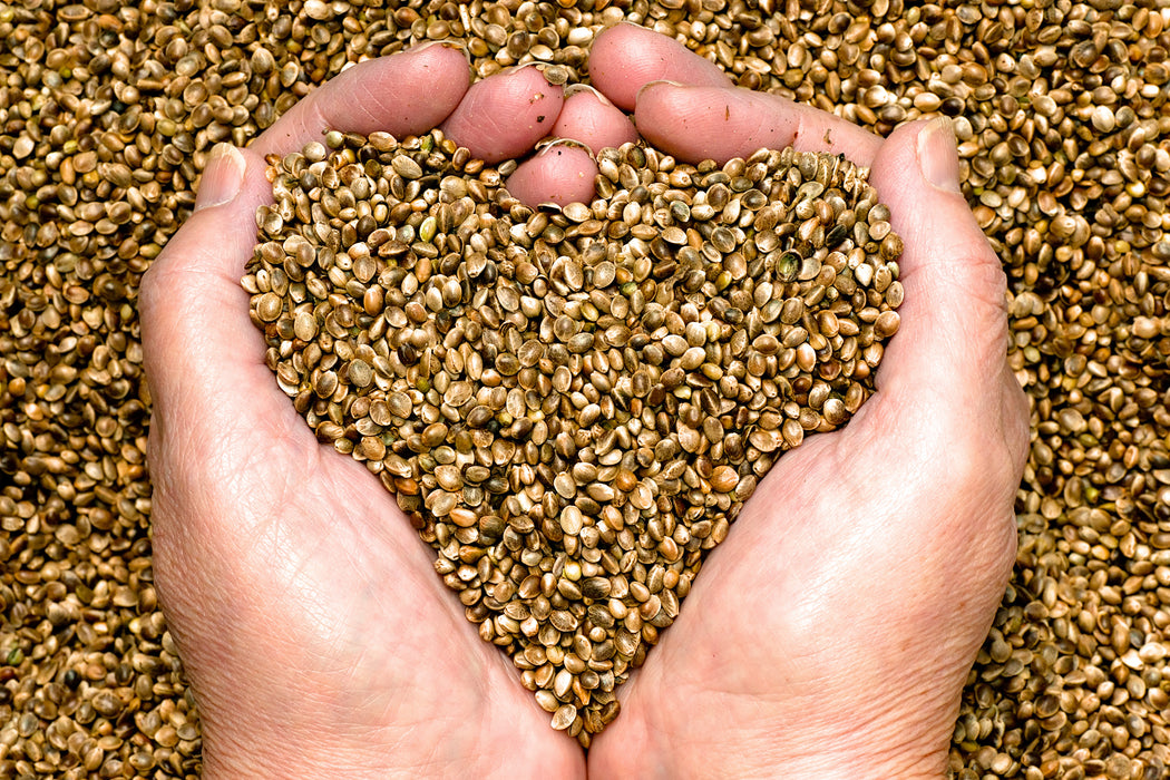 Hydrolyzed Hemp Protein