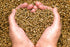 Hydrolyzed Hemp Protein