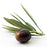olive leaf extract
