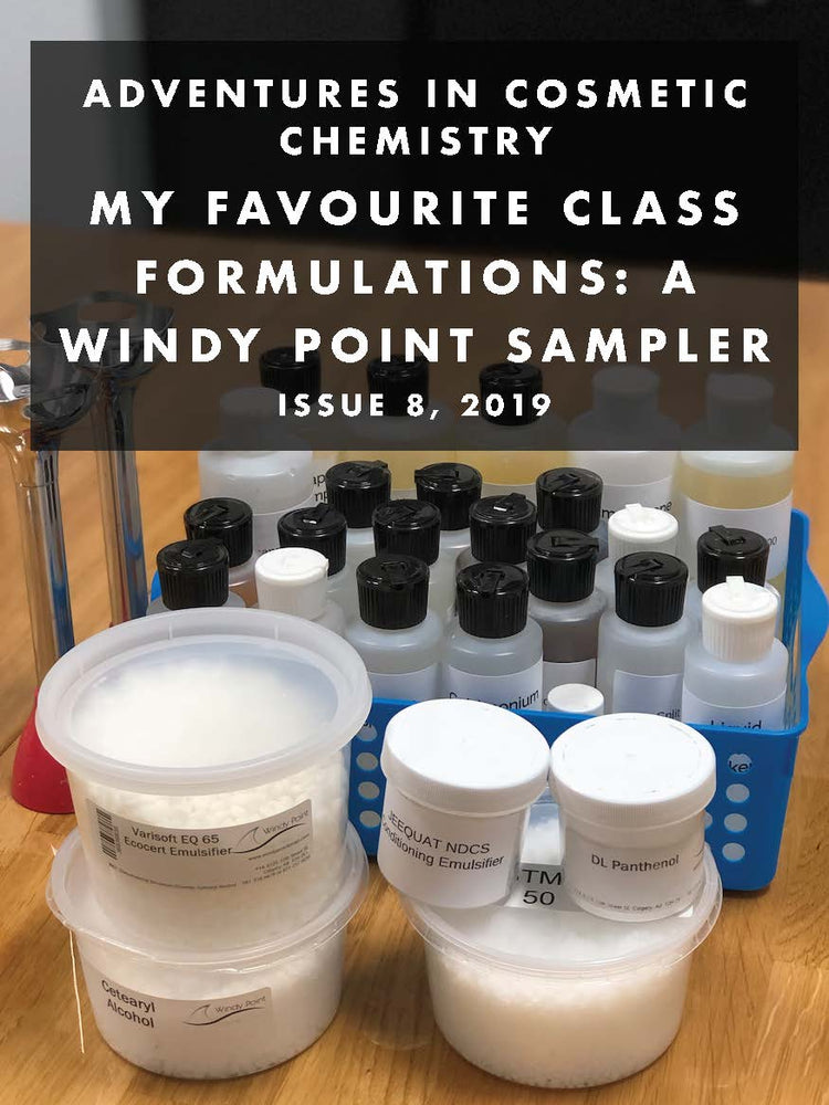 My Favorite Class Formulations: A Windy Point Sampler e-Zine