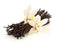 vanilla bean specks